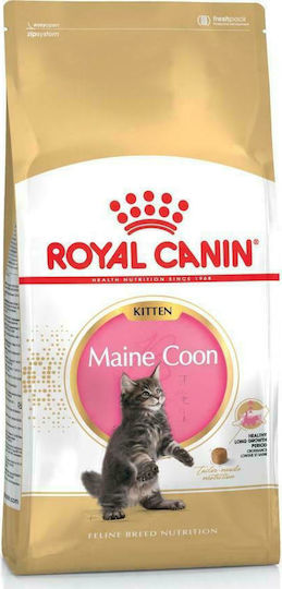 ROYAL CANIN Maine Coon Kitten- dry cat food - 4 kg